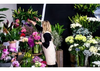 3 Best Florists in Warrnambool, VIC - Expert Recommendations