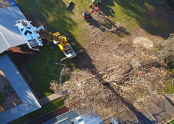 O.S. Trees Pty. Ltd.