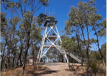 One Tree Hill Lookout Tower