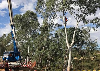 On The Mark Tree Service