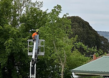 On The Mark Tree Service