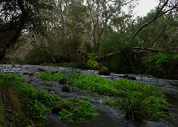 Organ Pipes National Park
