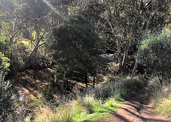 Organ Pipes National Park