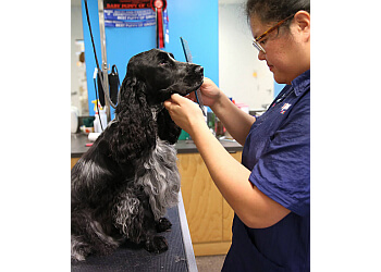 Petstock Warrnambool