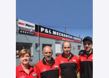 P & L Mechanical Services