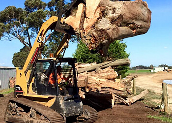 Pacey Tree Services