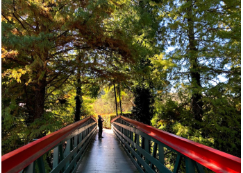Palmdale Lawn Cemetery & Memorial Park