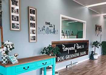 Pampered Paws Qld