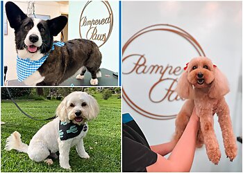 Pampered Paws Qld
