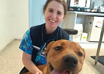 Para Hills Veterinary Clinic