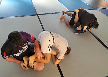 Parabellum Martial Arts