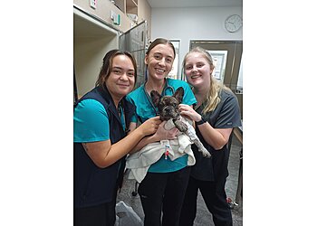 Park Ridge Animal Hospital