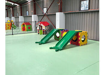 Paw by Paw Playhouse Dog Grooming & Daycare