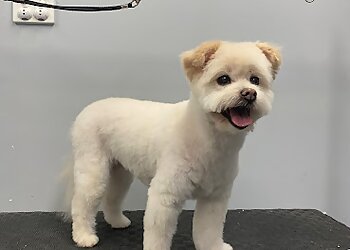 Drouin Dog Grooming Peachy Clean  image 1