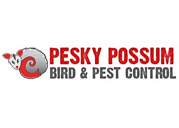 Pesky Possum Bird and Pest Control