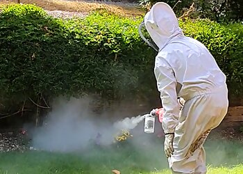 Pest Control Launceston