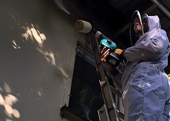 Pestaway Pest Management