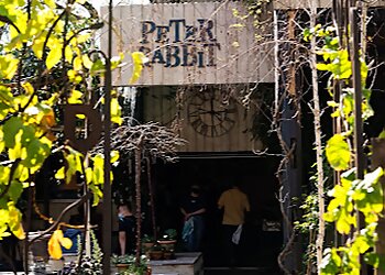 Peter Rabbit Cafe