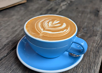 Peter Rabbit Cafe Peter Rabbit Cafe