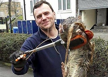 Petes Pest Control Toowoomba