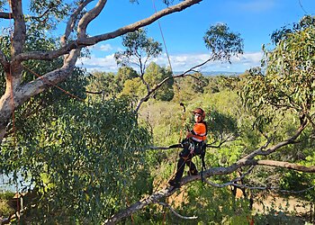 Bunbury Tree Services Pete's Treeworx image 1