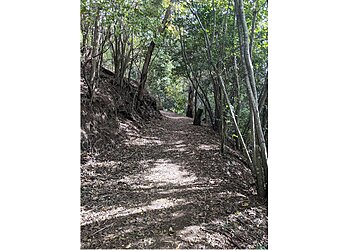 Picnic Point Parklands