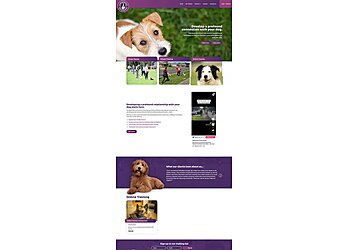 Picton Parrot Designs