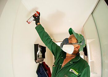 Pied Piper Pest Control