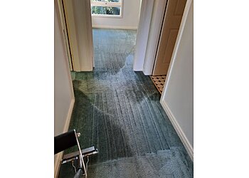 Platinum Carpet Cleaning Solutions