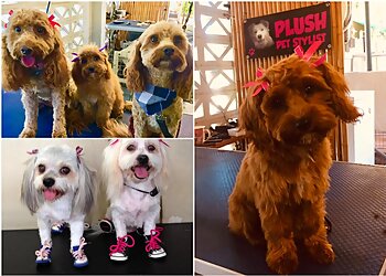 Plush Pet Stylist