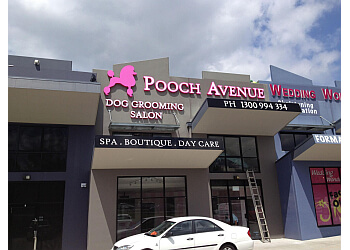 Pooch Avenue