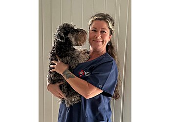Port Macquarie Veterinary Hospital