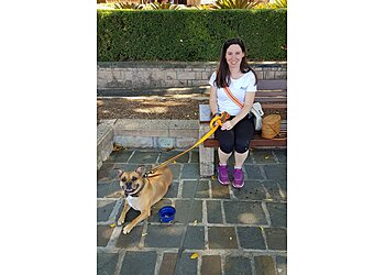 Precious Paws Dog Walking & Pet Sitting