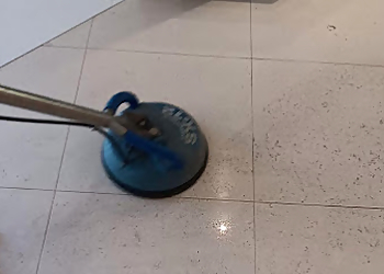 Premium Carpet Cleaning