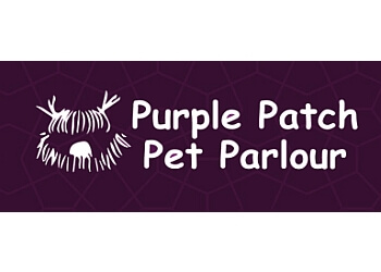 Purple Patch Pet Parlour