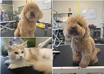 Purrrfection Grooming