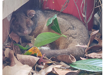 Quality Pest Management & Solutions