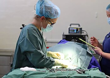 Queanbeyan Veterinary Hospital