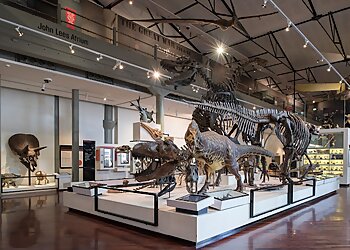 Queen Victoria Museum & Art Gallery