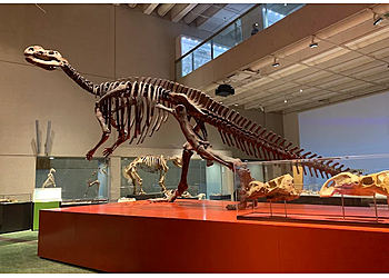 Queensland Museum Kurilpa