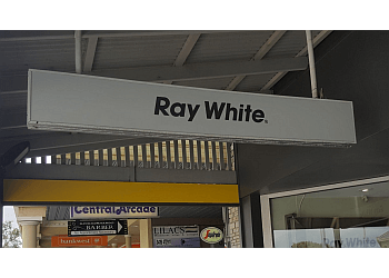 Ray White Albany