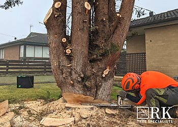 RK Tree Specialists