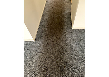 Rapid Dry Carpet Cleaning