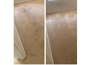 Rapid Dry Carpet Cleaning