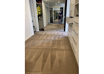 Real Deall Carpet Cleaning