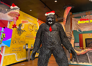 Ripley's Believe It or Not!