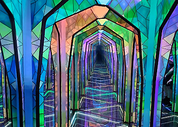 Ripley's Believe It or Not!