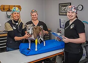 Riverbend Veterinary Service