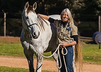 Mildura Veterinarians Riverbend Veterinary Service image 1