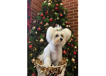 Roll over Rover Grooming